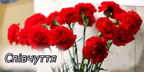 Співчуття