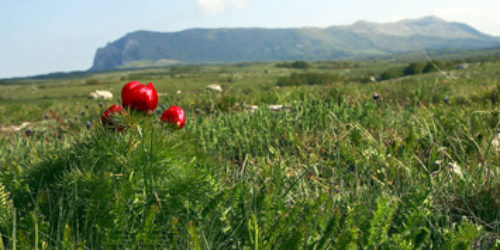 Слово Боже на просторах Криму