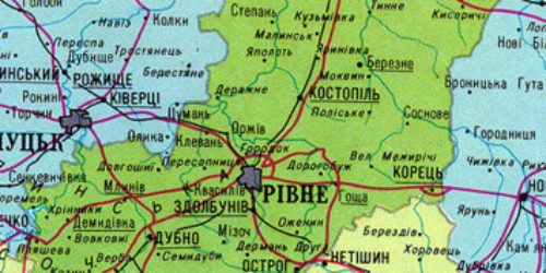 Сестринська районна конференція у с Поляни Березнівського району