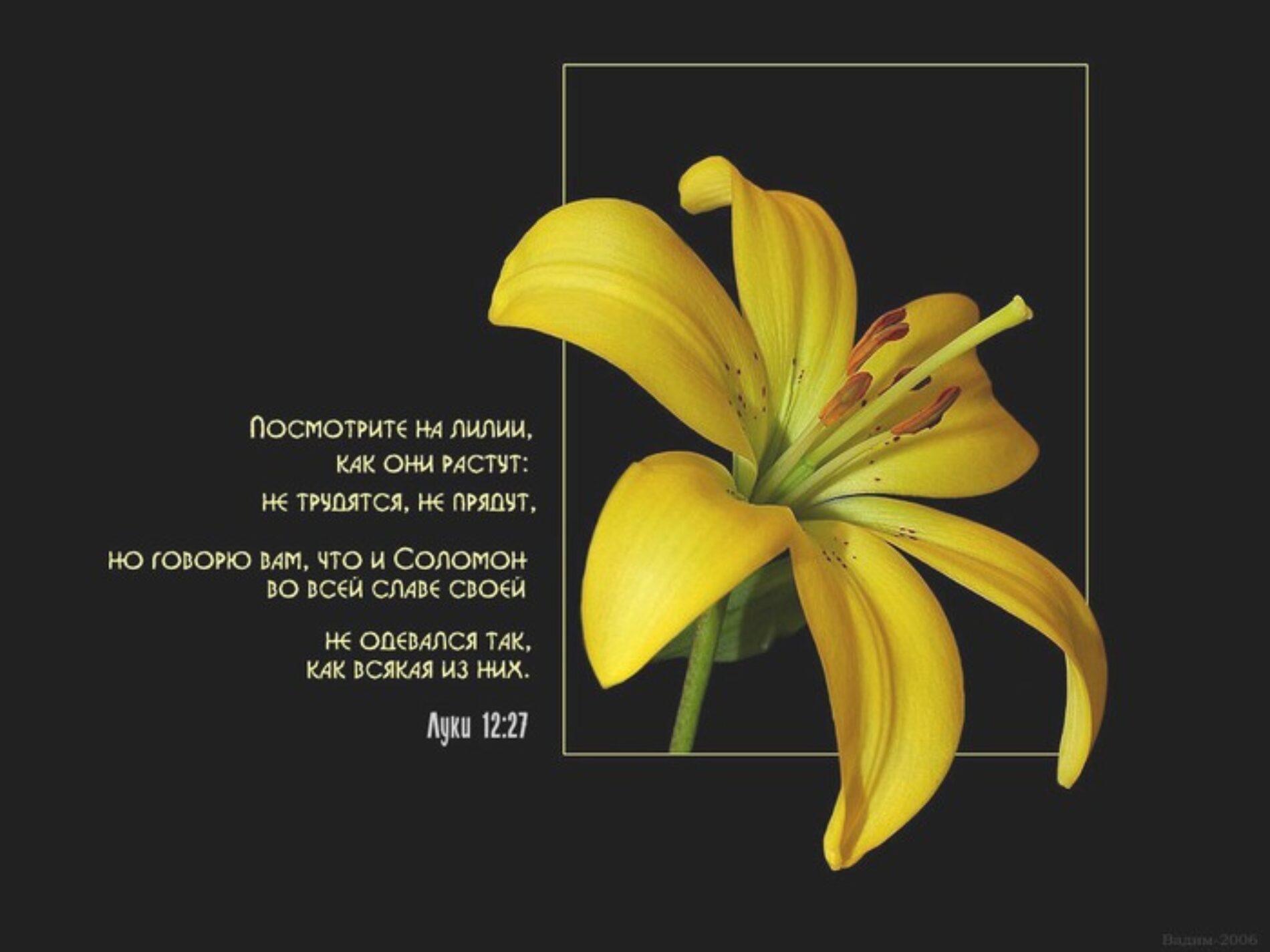 Вступне слово