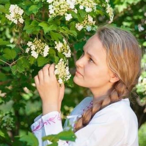 Калинові дзвони