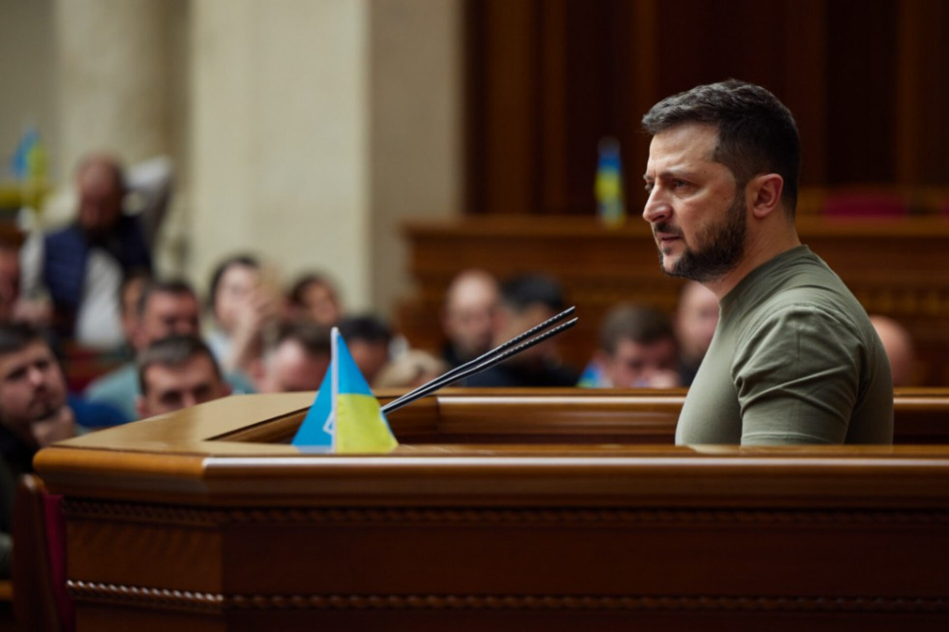 При ратифікації Стамбульської конвенції не було дотримано обіцянку провести належне громадське обговорення -ВРЦіРО